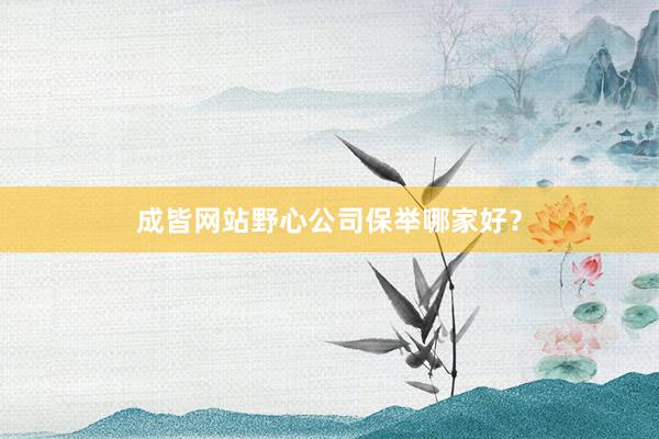 成皆网站野心公司保举哪家好？